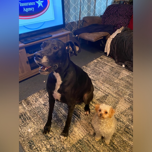 Meet your Posher, Lauren!! - Picture 9 of 10